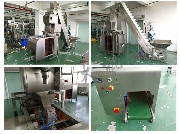 開心果食品自動化包裝機設(shè)備，全自動開心果食品包裝生產(chǎn)流水線