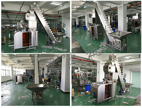 瓜子食品包裝機(jī)設(shè)備/自動(dòng)化瓜子食品包裝生產(chǎn)線