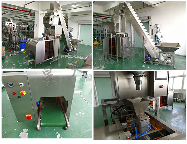 全自動枸杞包裝機設(shè)備/自動化枸杞包裝流水線