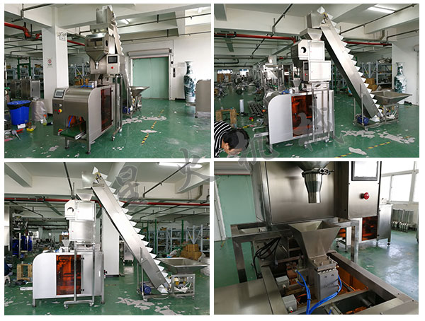 全自動(dòng)腰果食品包裝機(jī)設(shè)備/自動(dòng)化腰果包裝生產(chǎn)線