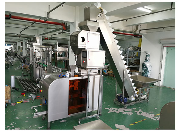 雜糧顆粒包裝機(jī)械設(shè)備