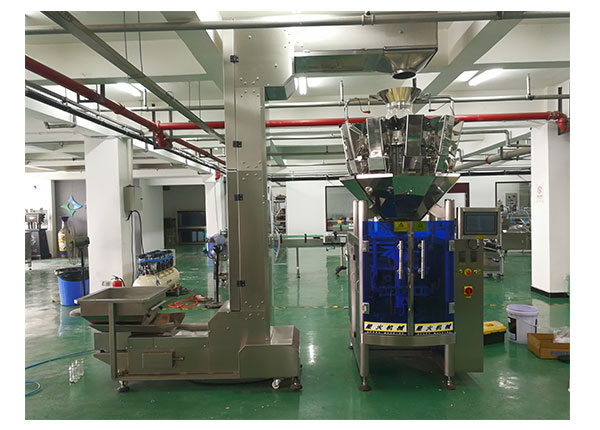 自動(dòng)化蠶豆顆粒包裝機(jī)械設(shè)備